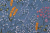 Бязь-универсал П13-150 ИВ Цветы/колоски на пыльно-синем