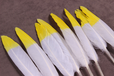 Перо куриное 13см двухцветное Белый/Желтый - изображение