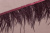Тесьма 110мм из перьев страуса Бордовый