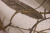 Портьера с рисунком Листья серо-коричневые на бежевом