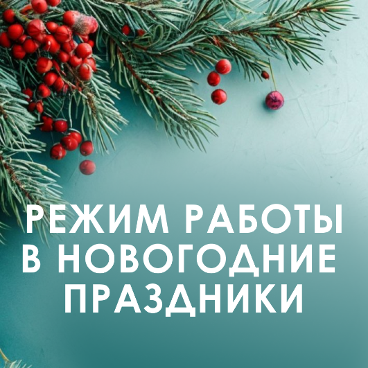 РЕЖИМ РАБОТЫ В НОВОГОДНИЕ ПРАЗДНИКИ 2026 ГОД!