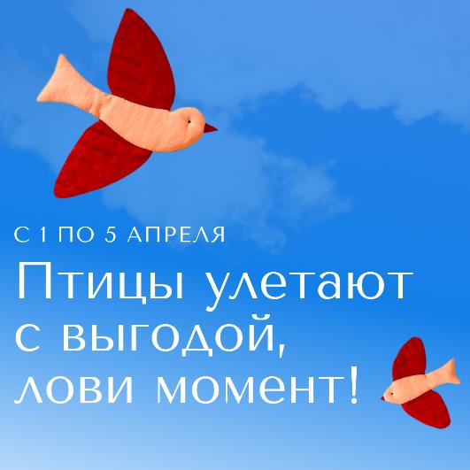 Птицы улетают с выгодой, лови момент! Птицы улетают с выгодой, лови момент!