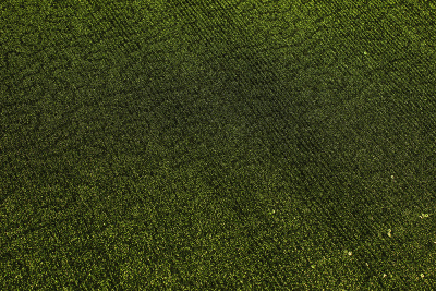 Мунлайт-хамелеон гофре с пайетками Яблоко - изображение