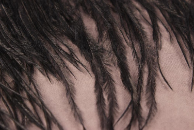 Тесьма 80мм из перьев страуса Черный - изображение