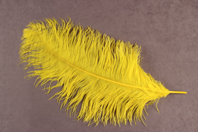 Перо страуса 65-70 см Желтый - изображение