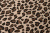 Деним твил 11646 260 гр/м.кв. Леопард Коричневый/черный на кремовом