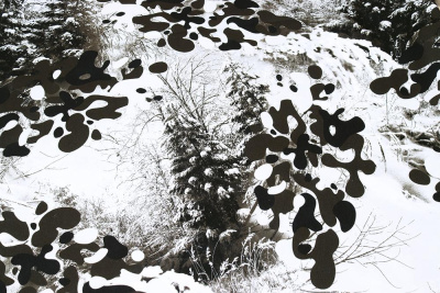 Мембрана Алова принт Зима - изображение