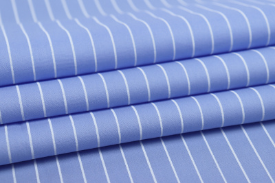 Хлопок набивной полоска Голубой/белый - изображение