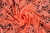 Полотно кружевное Крупные люминесцентно-персиковые розы