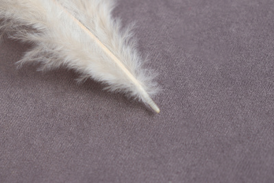 Перо куриное Ассорти Бежевый/Коричневый - изображение