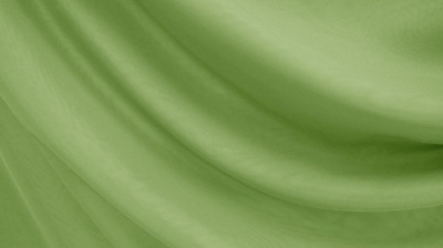 Вуаль однотонная Бледно-зеленый - изображение