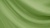 Вуаль однотонная Бледно-зеленый