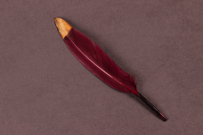 Перо куриное 13см двухцветное Бордо/Золото - изображение