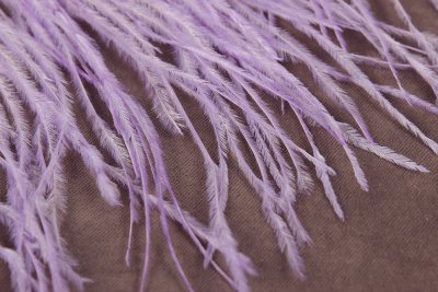 Тесьма 140мм из перьев страуса Сиреневый - изображение