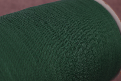 Киперная лента 10мм Т.Зеленый 617 - изображение