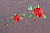 94571.(1)
