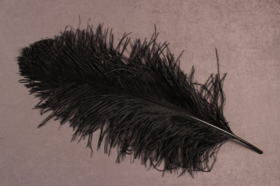Перо страуса 65-70см Черный - изображение