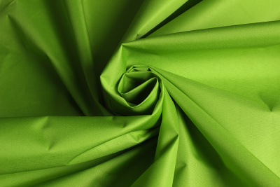 Курточная Royal Dewspo pu milky Лайм - изображение