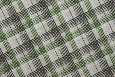 Лен набивной П-25 150 ИВ Черно-зеленая клетка на бежевом - изображение