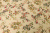 Блузочная ниагара софт 110гр/м.кв.Цветы на св.бежевом
