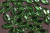Стразы пришивные 20мм Листик Зеленый