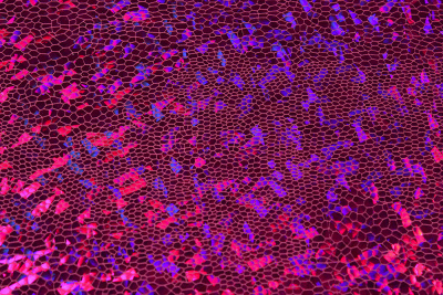 Голограмма-чешуя Фуксия - изображение