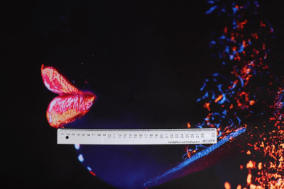 Кашемир Панель Девушка неон - изображение