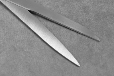 Ножницы закройные 255мм GAMMA - изображение