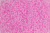 Бисер 12/0 прозрачный Розовый неон