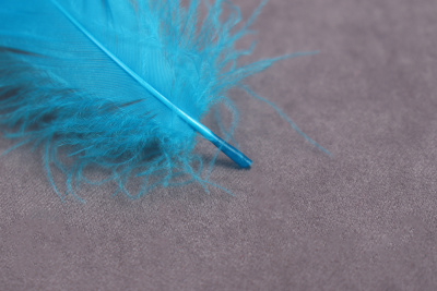 Перо куриное Радуга Ассорти - изображение