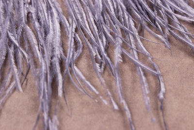 Тесьма 140мм из перьев страуса Серый - изображение