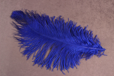 Перо страуса 65-70 см Синий - изображение