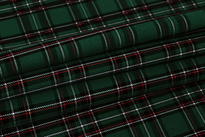 Клетка костюмная 24379 Т.зеленый/белый/красный - изображение