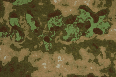 Кулирная гладь КМФ Бежевый/хаки - изображение