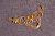 47546.1(1)