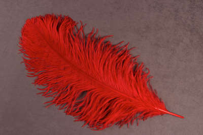 Перо страуса 65-70 см Красный - изображение