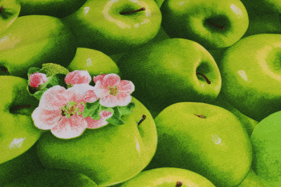 Рогожка набивная Яблоки - изображение