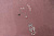 97121.148(1)
