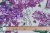 Полотно вафельное Тейково Сиреневый букет