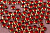95263.1(1)