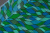 Шелк-атлас набивной 027 Абстракция Сине-зеленый