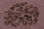 58860.036(1)