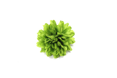 Хризантема 60мм Зеленый - изображение