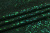 Голограмма-чешуя Зеленый