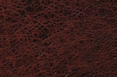 IMG_6442 копия IMG_6442 копия