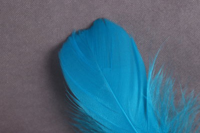 Перо куриное Радуга Ассорти - изображение