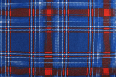 Фланель клетка Красный/синий - изображение