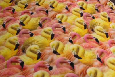 Флис 200 г/м.кв.Фламинго - изображение
