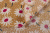 Ткань плательно-блузочная Ромашки на коричневом
