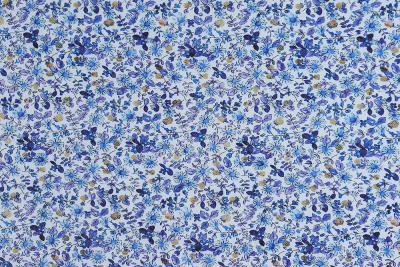 Ниагара софт Голубые цветочки - изображение